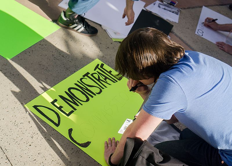 How will members of Congress approach security at upcoming town halls?
